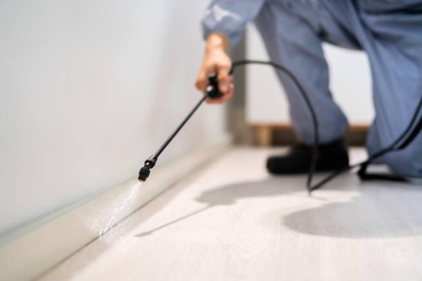 Licensed Cockroach Control service in Monroe City, MO - Nex Pest Control