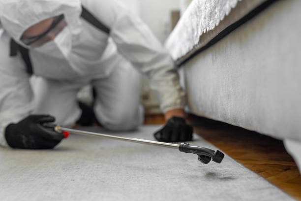 Professional Cockroach Control technician working in Monroe City, MO