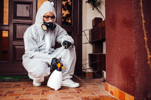 Reliable Cockroach Control contractor in Monroe City, MO by Nex Pest Control